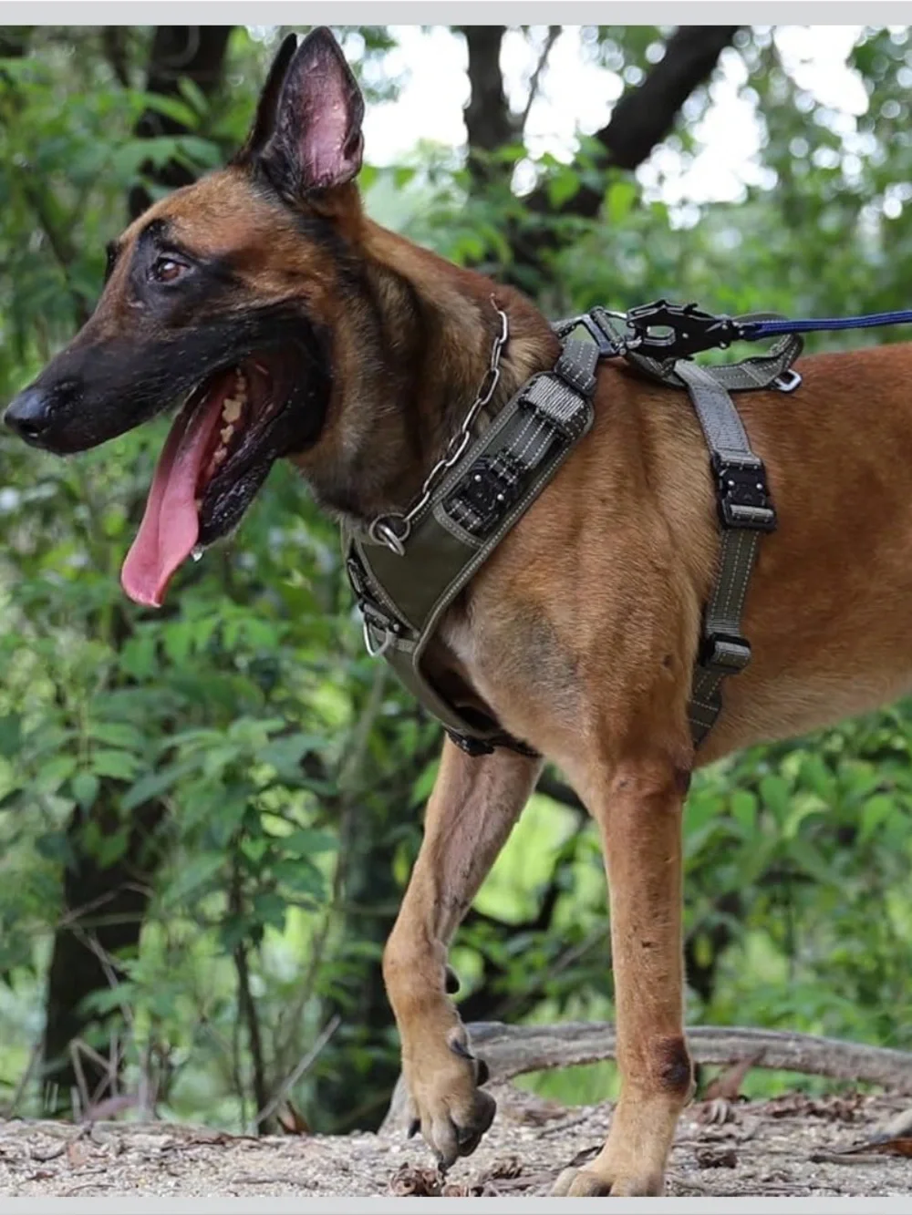 Tactical K9 Vest No-Pull Dog Harness
